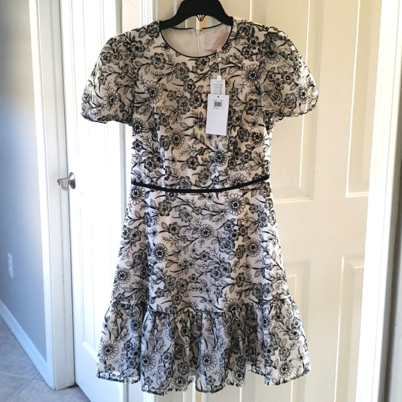 NWT Gal Meets Glam Viola Raffia Embroidered Dress Size 4 - Picture 4 of 10